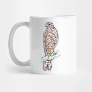 Brown Goshawk Mug